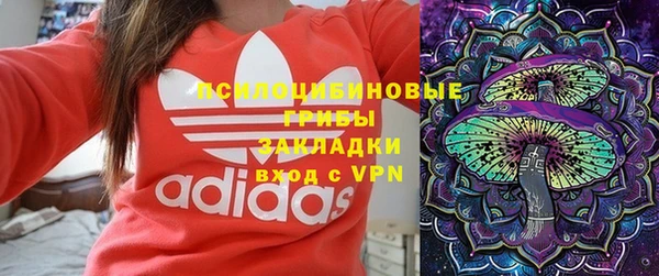 сатива Зеленокумск