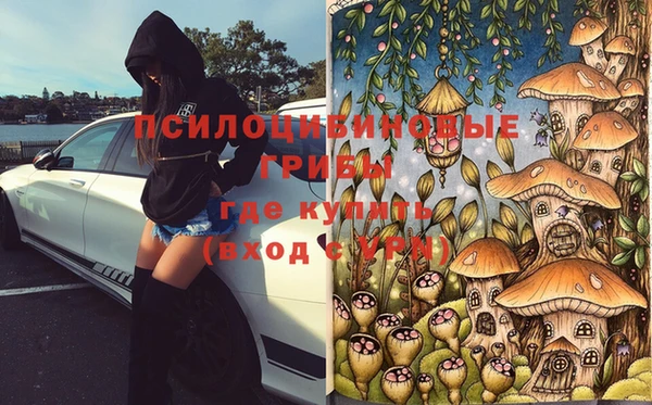 сатива Зеленокумск