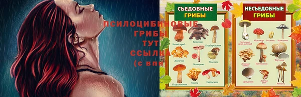 сатива Зеленокумск